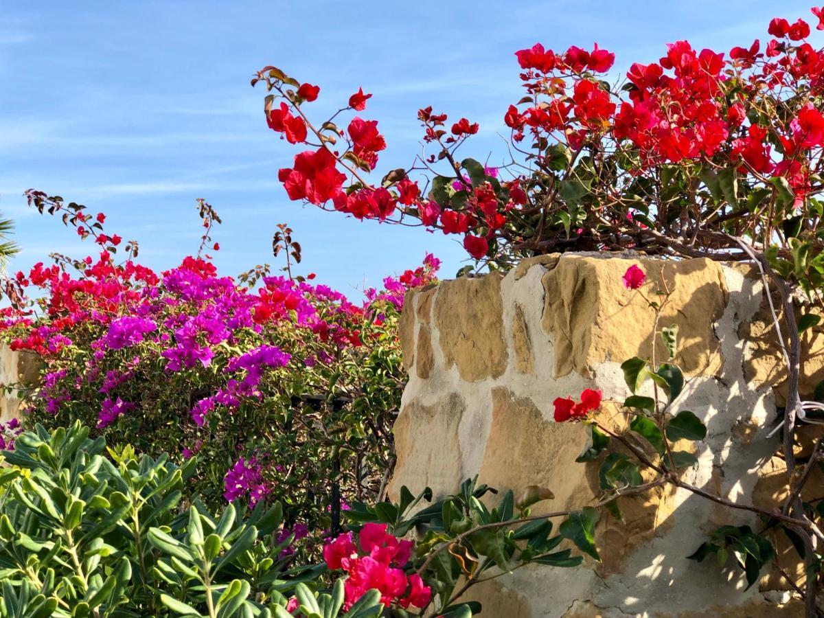 Casa Olina Daire Bahia de Casares Dış mekan fotoğraf